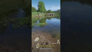 Parque da Ponte Medieval do Marnel - Lamas do Vouga, Águeda 🌉🏕