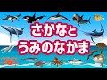 【子供が喜ぶ水族館】魚の名前と海の仲間たちが何が出てくるから当ててね！さかなの名前ずかん★かじき・たい・たこ・くじら・まんた・いか・たこ★未就学児向け教育｜Fish picture book.