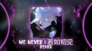 We Never Remix (Hi Noise) | 若如初见 - DJ秋成 Remix | Hot TikTok - Douyin