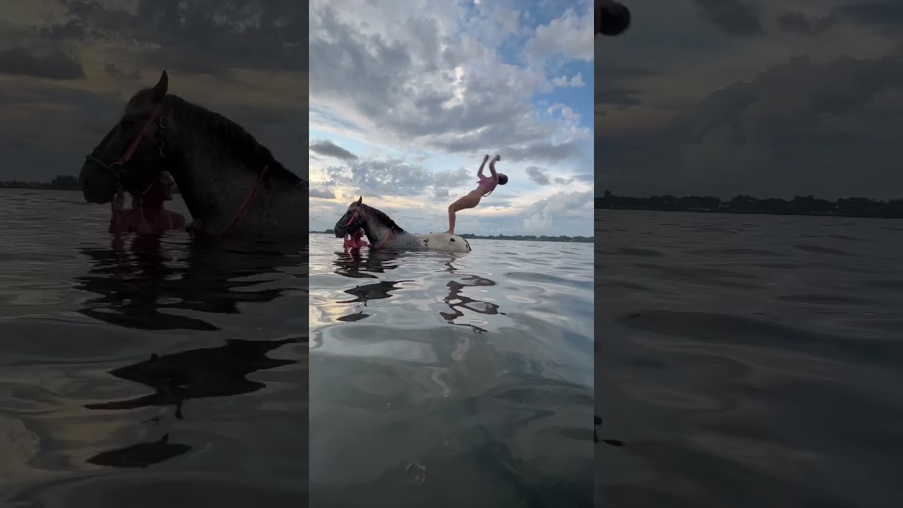 I want to backflip off a horse again