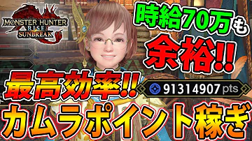 モンハンサンブレイクカムラポイント
