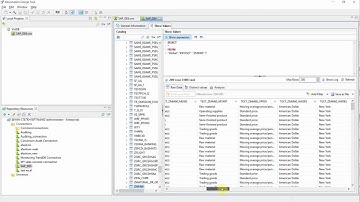 SAP ERP data in Business Objects IDT