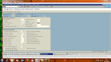 Set Global Parameters for Company Code in SAP FI module.