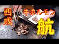 西成 「立呑み 航」ツラミ、マルチョウ、ホルモン焼ソバの作り方 Japanese Food Horumon in Osaka ASMR 2020.3.6