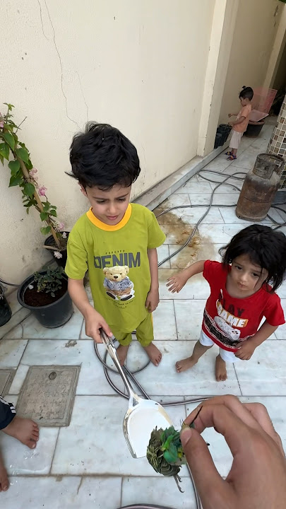 قهر🤕 #مجودي#نت_ضعيف