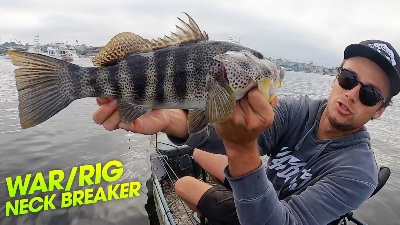 How to Fish A Warbaits Neck Breaker