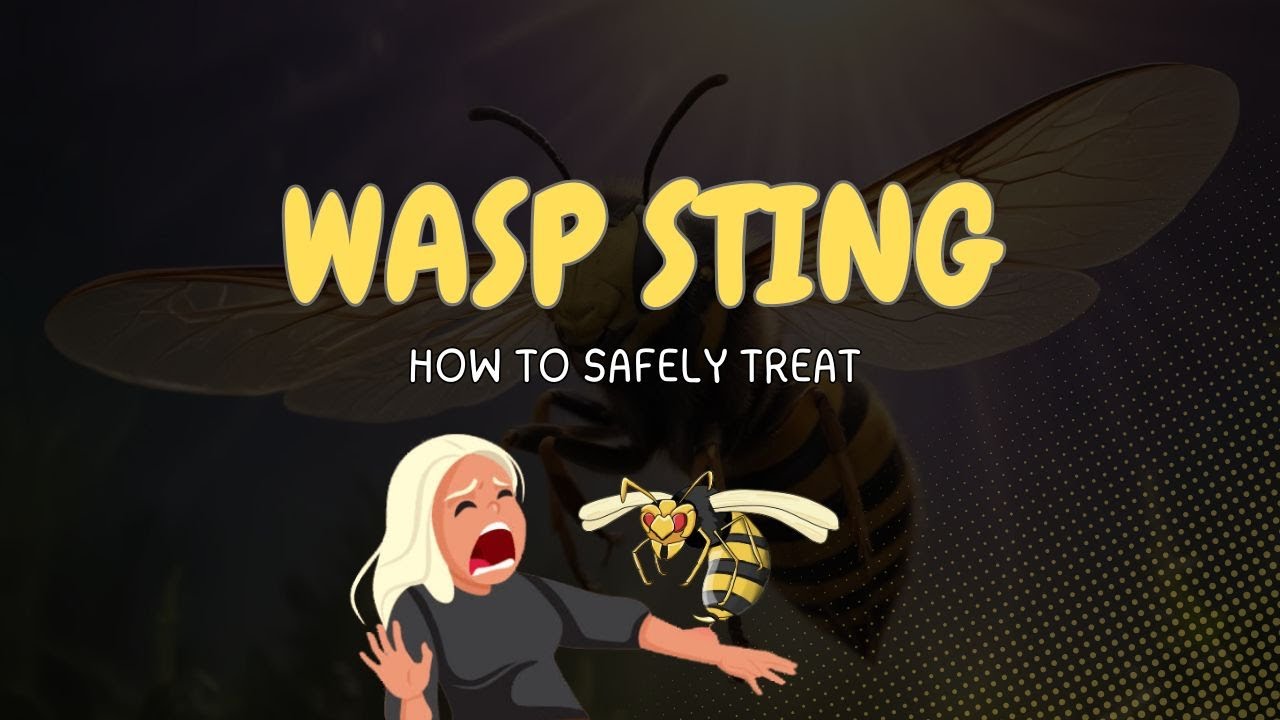 Wasp Sting || How to Safely Treat Wasp Stings: Quick Tips and Emergency Advice