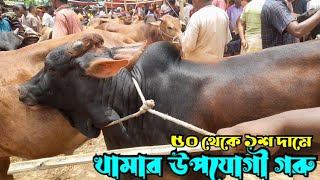 ৫০ থেকে ১শ দামে খামার উপযোগী গরু নীলফামারী হাটে || অনেক কমদামে ক্রস গরু কিনলেন মনিরুল
