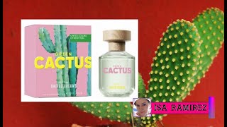 ¡PERFUME BBB! BENETTON United Dreams Green Cactus reseña de perfume ¡NUEVO 2023!