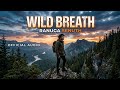 Wild Breath By Ranuga Senuth Official Music Vedio New Hit Song 2026