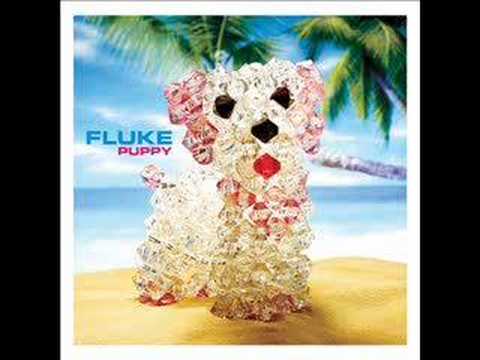 Fluke - Snapshot