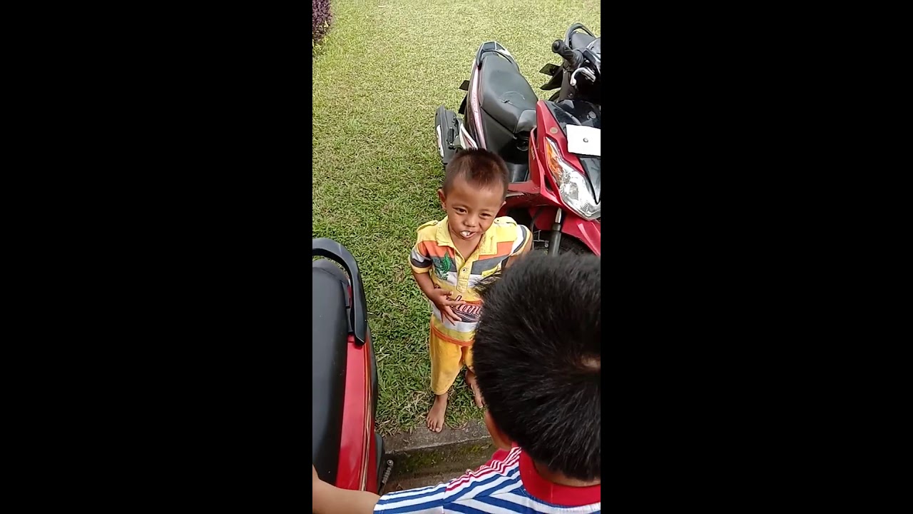 Lucunya kalo anak  kecil  sedang bercerita  YouTube