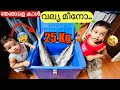 🤩Surprising kids with “GIANT FISH” | 25 കിലോ ഉള്ള മീൻ ചൂണ്ടയിൽ...