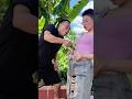 Em Hàng Xóm Bị Cua Cắp Vào Chỗ Nhạy Cảm #shortvideo #funny