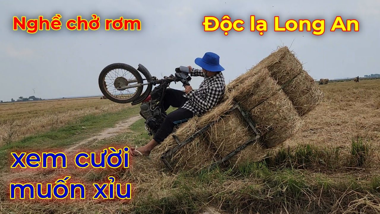 nghề chở rơm bằng xe honda những tay lái lụa ở miền tây độc lạ long an ...