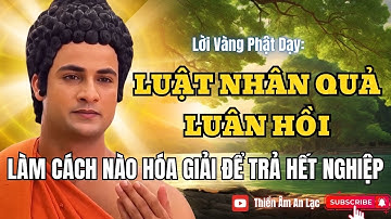 Nhân Quả Luân Hồi và Cách Trả Hết Nghiệp theo Lời Phật Dạy !
