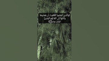 سورة الزمر الآية ١٧ الى ١٩ بصوت الشيخ المنشاوي #القران_الكريم_في_الصباح #القران_الكريم
