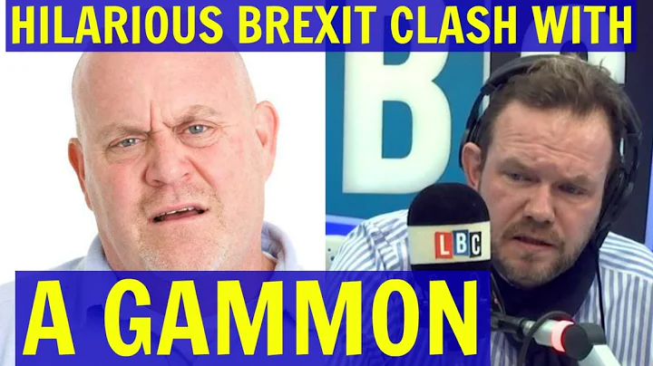 Hilarious BREXIT CLASH with a GAMMON Leave Voter -...