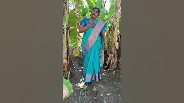 I like dosai song,Maths lesson-2English medium 1-3 std,Ennum Ezhuthum songs Wisebell Jeyasingh