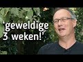 &quot;Het waren 3 geweldige weken!&quot; Studenten vertellen over hun ervaringen na de PTS.