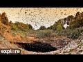 Bracken bat cave viewing area powered by exploreorg