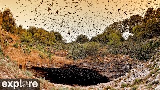 Bracken Bat Cave Viewing Area powered by EXPLORE.org