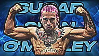 The New Mcgregor: Sugar Sean O'Malley