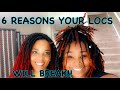6 REASONS YOUR LOCS WILL BREAK (sisterlocks & traditional locs)