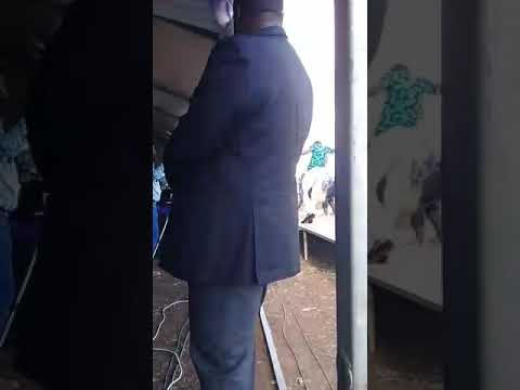 Insingizi ft Mjaphane