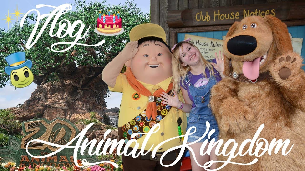 HAPPY BIRTHDAY ANIMAL KINGDOM ! VLOG WALT DISNEY WORLD 11 YouTube