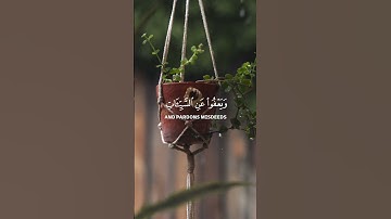 سورة الشورى | وهو الذي يقبل التوبة