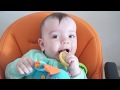 Ребенок впервые ест лимон , children eat a lemon