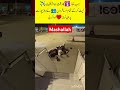 Boy love the prayer#viral#shortsfeed #islamic #ytshorts #trending #shorts #pak