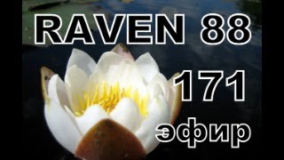 RAVEN 88 ЭФИР 171