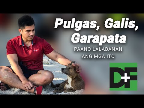 Video: Mga Pamamaraan Na 'Likas' Para Sa Pagkontrol Ng Mga Fleas Sa Mga Aso