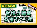 【脊椎疾患④】脊椎分離症・脊椎すべり症【理学療法士・作業療法士】