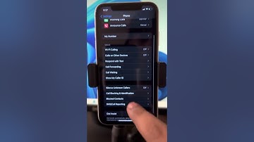 iPhone not ringing on some Incoming calls (Solved)