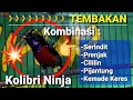 Kolibri Ninja Gacor Full Tembakan Cililin Prenjak Pijantung Kemade Serindit Mp3 - Mp4 Download