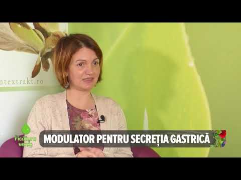 Gemoterapie - Gastrita si Ulcerul - Dr. Monica Spinu