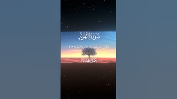 سورة الطور|28-32|القارئ:#محمد_اللحيدان #قران #quran #قران_كريم #تلاوة #تلاوة_هادئة #آية #تلاوة_خاشعة
