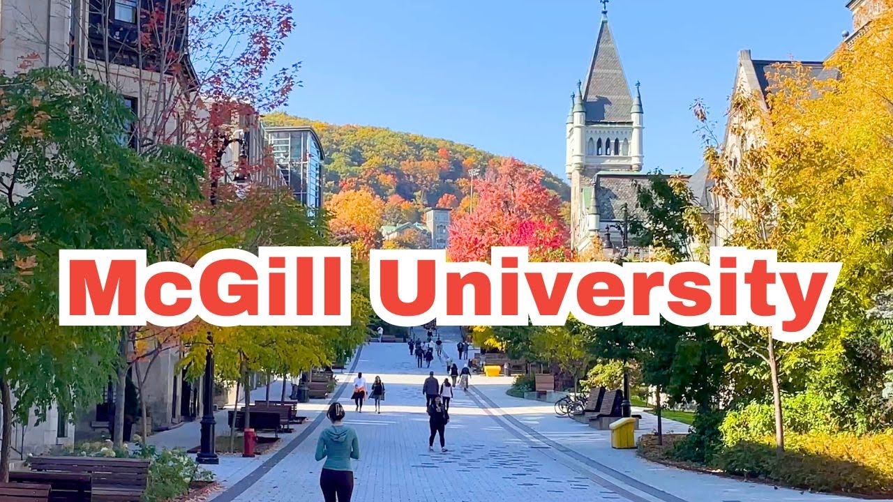 🌟 McGill University Walking Tour | Best thing to do in Montreal , Explore Montreal’s Iconic Campus