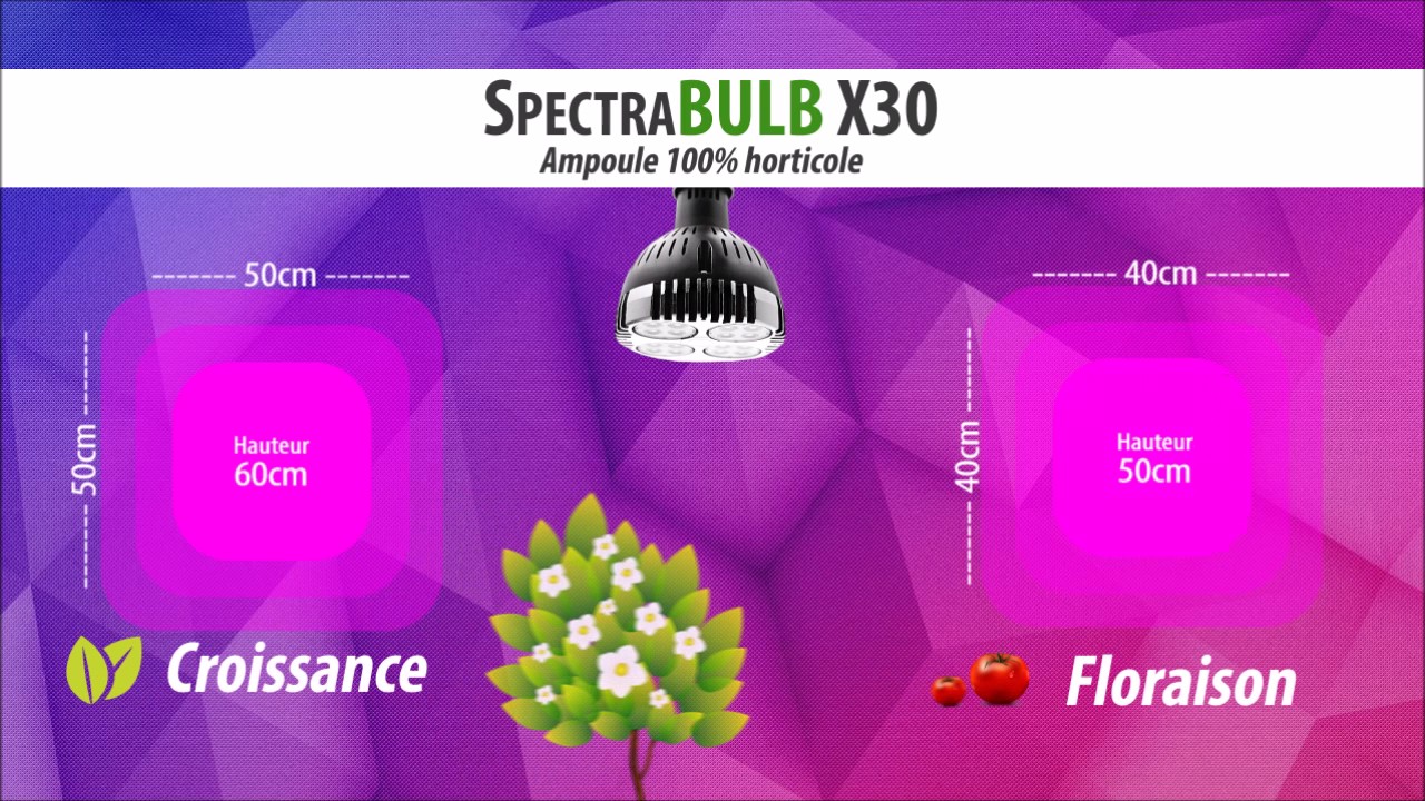 Ampoule Horticole LED SpectraBULB X30 - Croissance & Floraison