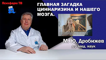 Главная загадка циннаризина и нашего мозга.