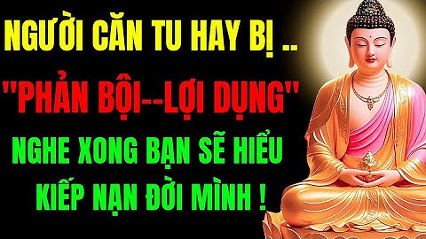 Người Căn Tu Hay Bị Phản Bội Và Lợi Dụng – Hiểu Ngay Kiếp Nạn Đời Mình | Tu Tâm Tĩnh Lặng