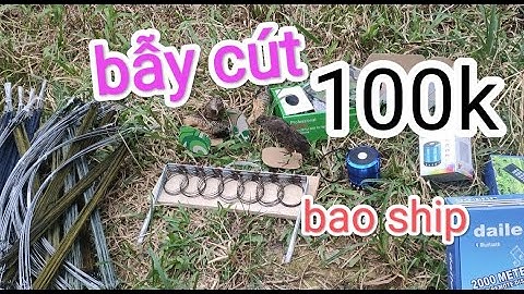 cung bẫy cút , bẫy cút hiệu quả chỉ với 100k