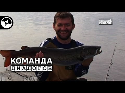 Ленок, хариус, щука, таймень |  Классика