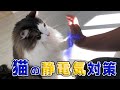 【ノルウェージャンフォレストキャット】猫の静電気対策。スキンケアミストで保湿。