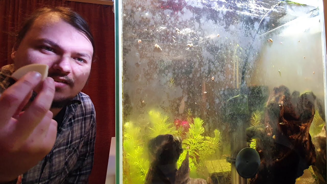 WishLotus Aquarium Schwammfilter – Kleiner Interner Filter Für Süß- & Salzwasser – Mit Keramik-Medium