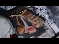 令和最初の狩猟生活(その130)