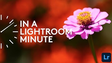 How to Turn on Technology Previews in Lightroom Mobile | In A Lightroom Minute | Adobe Lightroom